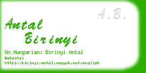 antal birinyi business card